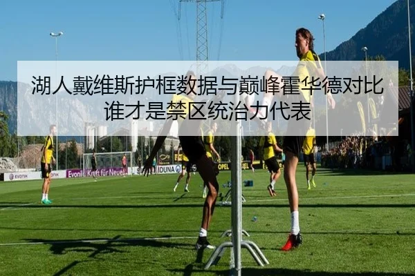 湖人戴维斯护框数据与巅峰霍华德对比谁才是禁区统治力代表